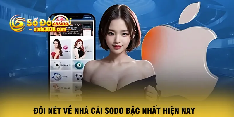 doi-net-ve-nha-cai-sodo-bac-nhat-hien-nay